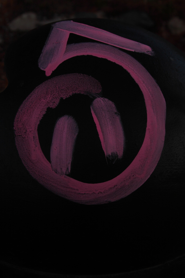 2013 01 20 IMG 2038